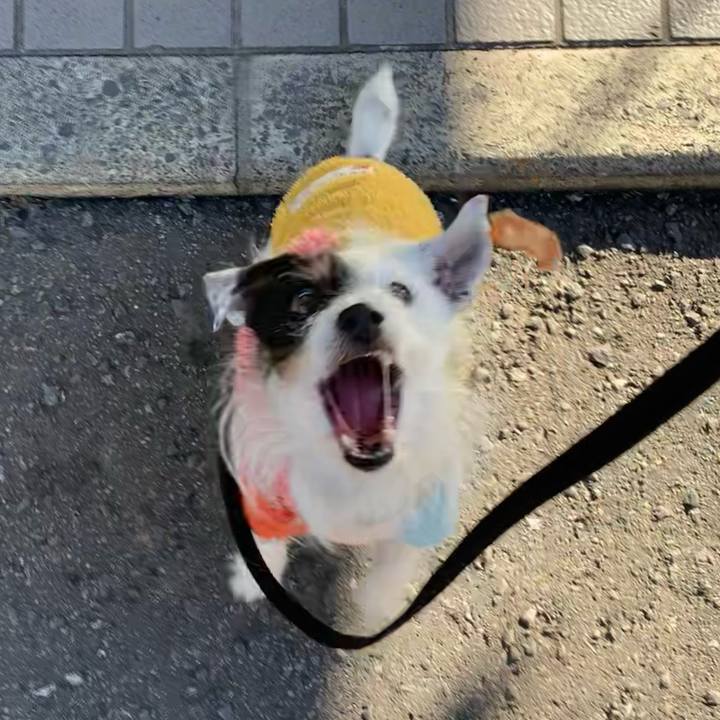 D77d6589 74dc 49e9 a423 889932bcdfeb 1706490756830