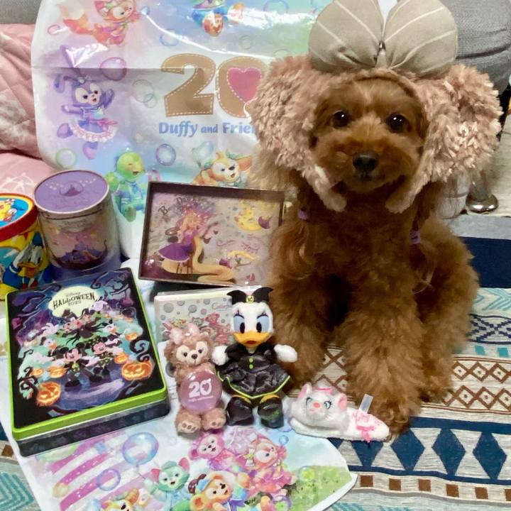 D77d78c1 924c 4c84 a9f0 ea88a18d9a56 1761055867869