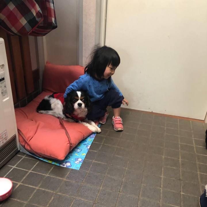 D77d914b ceb9 4f36 8d2e 6b43a98e986a 1552701554520