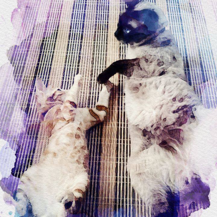 D77e10d8 d4f5 476d b0de e08f63e2e8b0 1534972510977