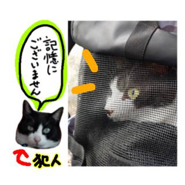 D77e1fa8 838c 40f9 8951 c670c3de7bf1 1762646014946