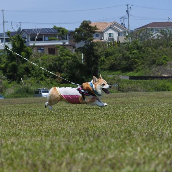 D77e287b c488 41c3 b5f9 ad3fd37a4b16 1747745858846