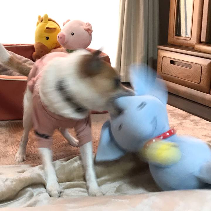 D77e36ba e31d 4dfe 9d90 5d8f51049d67 1553779340270