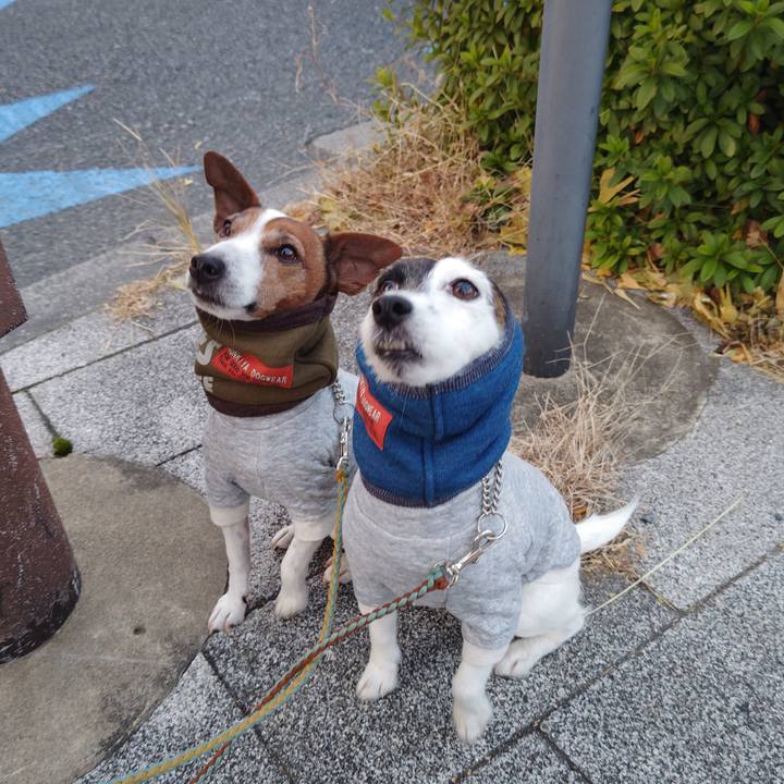 D77e6a67 4af5 4f1d 96eb 7e70151c3540 1735510453477