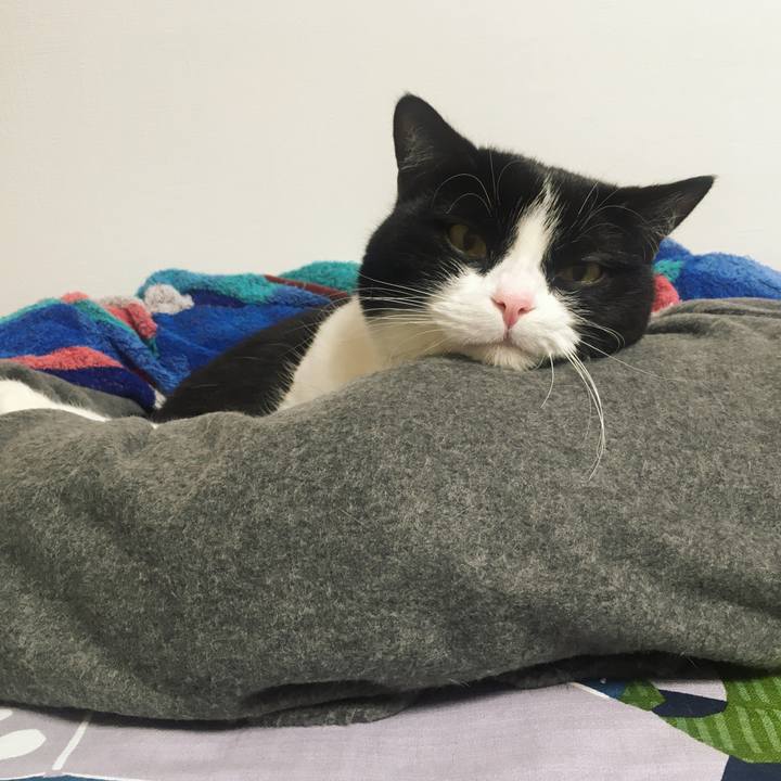 D77ebf8e 490b 441a a7f6 8d4821d25315 1575863684147