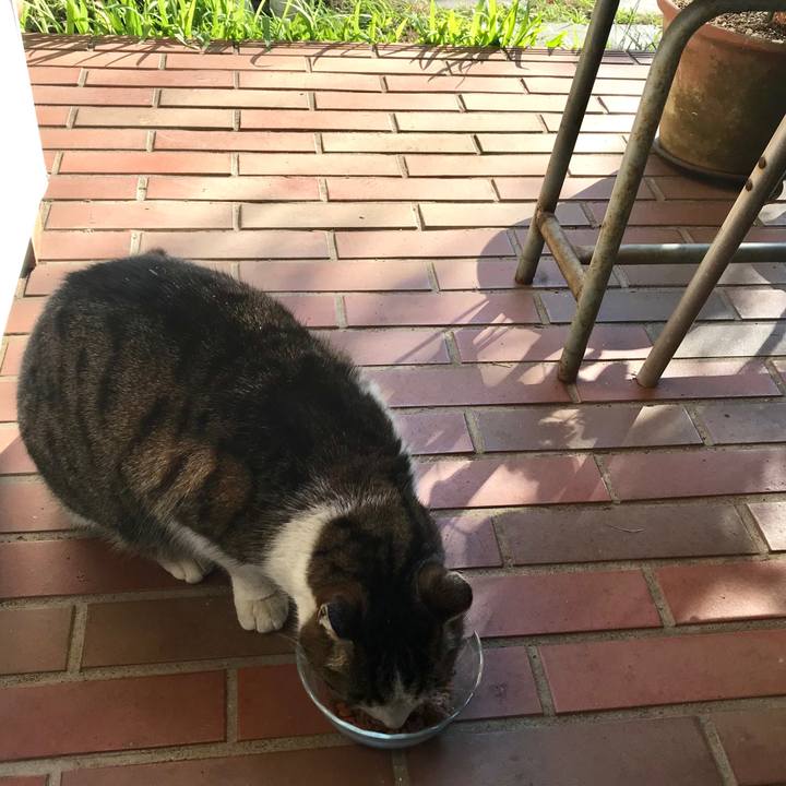 D77eea6f 3227 4f5c a133 ac7d327c8bf2 1515818358526