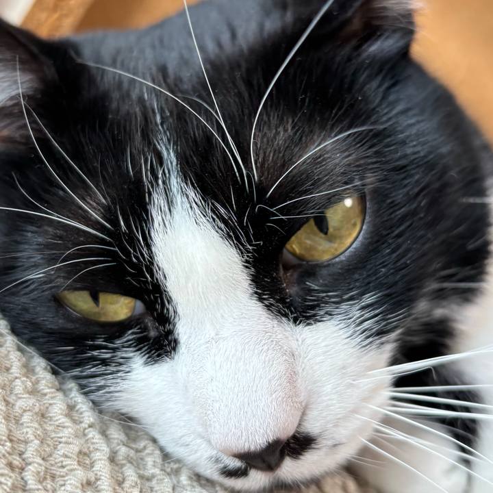 D77ef798 39b4 42d9 8be6 2259ff8b8889 1771031618503