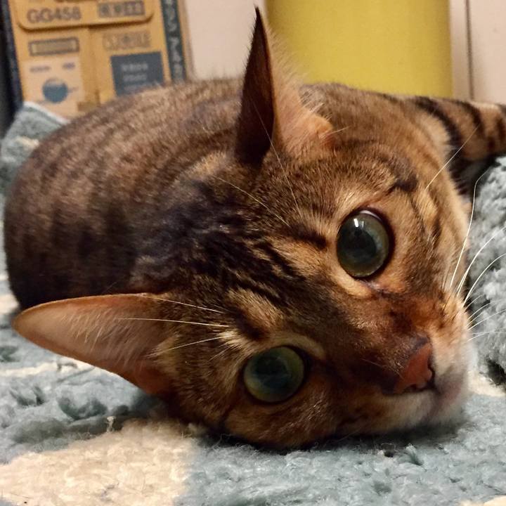 D77f2f27 6d3b 4ebf b96f 8d09698a1d5e 1531523900727