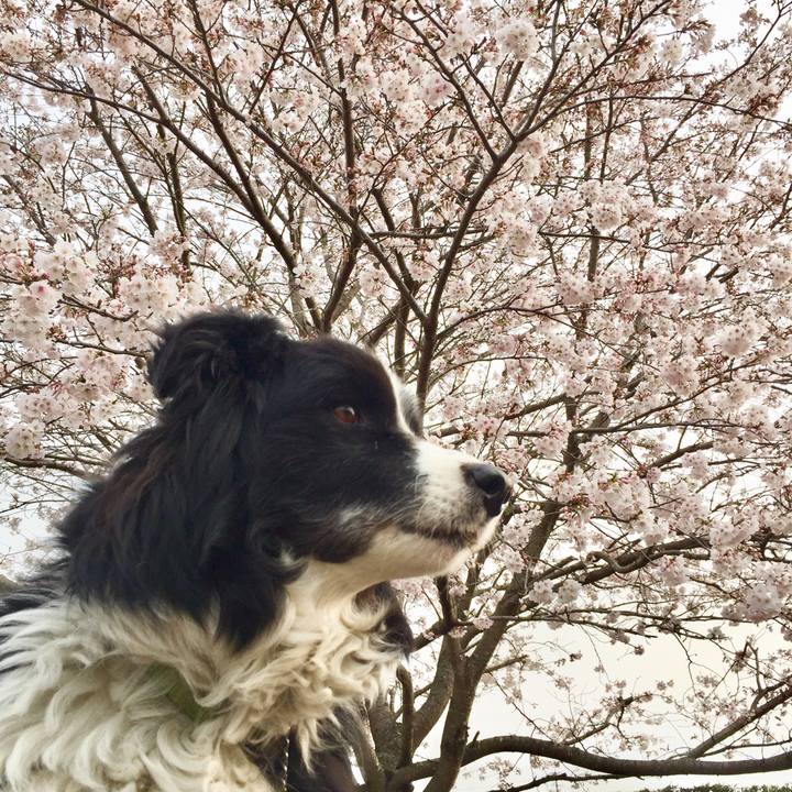 D77f3981 399a 4dee 8621 9678cc63709f 1585866981556