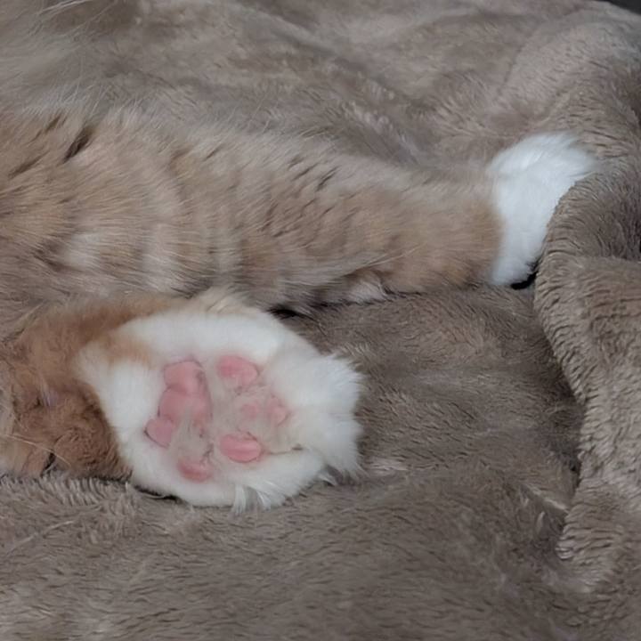 D77f9fa8 afd6 4e4b a76c 9ef4d9e6094c 1768103971828