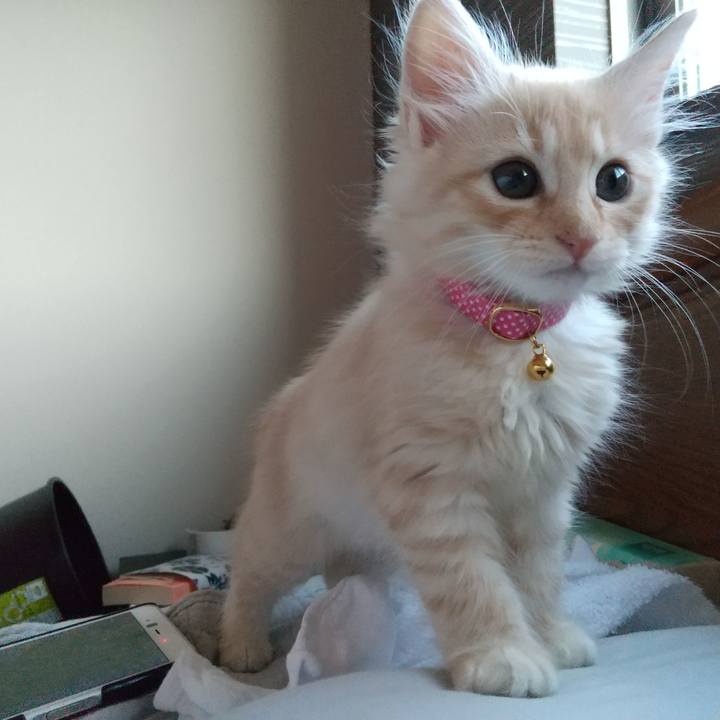 D77fdf0d a1a0 4465 b3e9 44151834b2d9 1603575596758