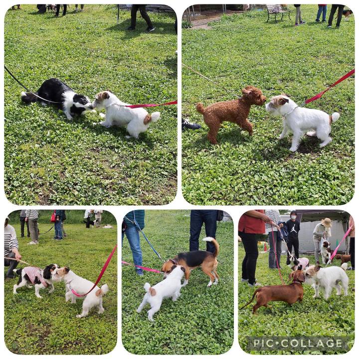 D77ffa78 d4b3 4ffc a25c b2b9fc5d76b0 1653227500744