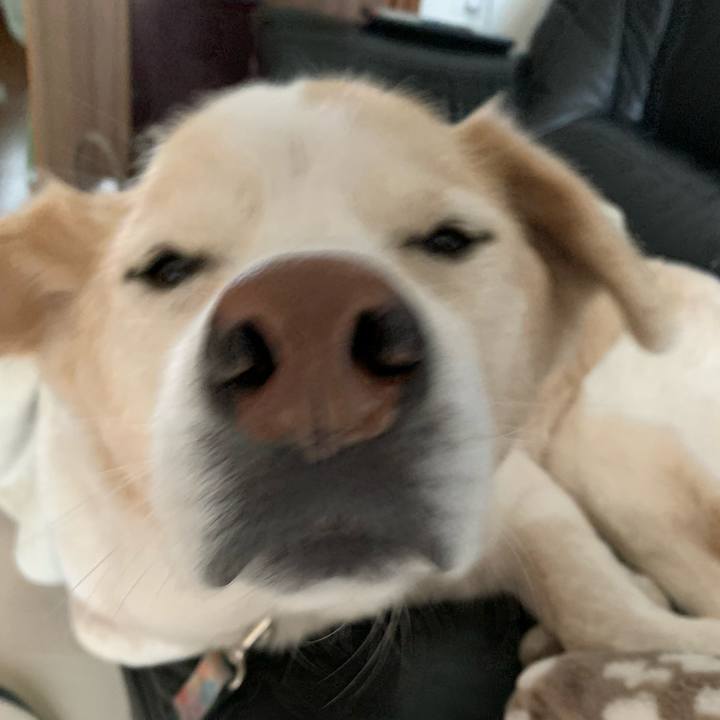 D77ffad0 262f 4bd5 bd9d 198affd471bd 1642903546089