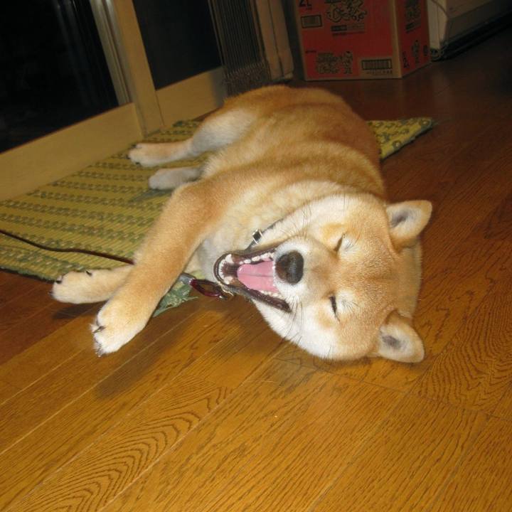 D77ffd43 fa7e 4780 aabe 345e39195616 1622634304279