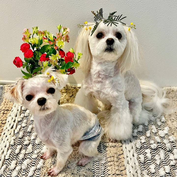 D7801140 379b 459a bd76 facf5b2d25f3 1674721660637