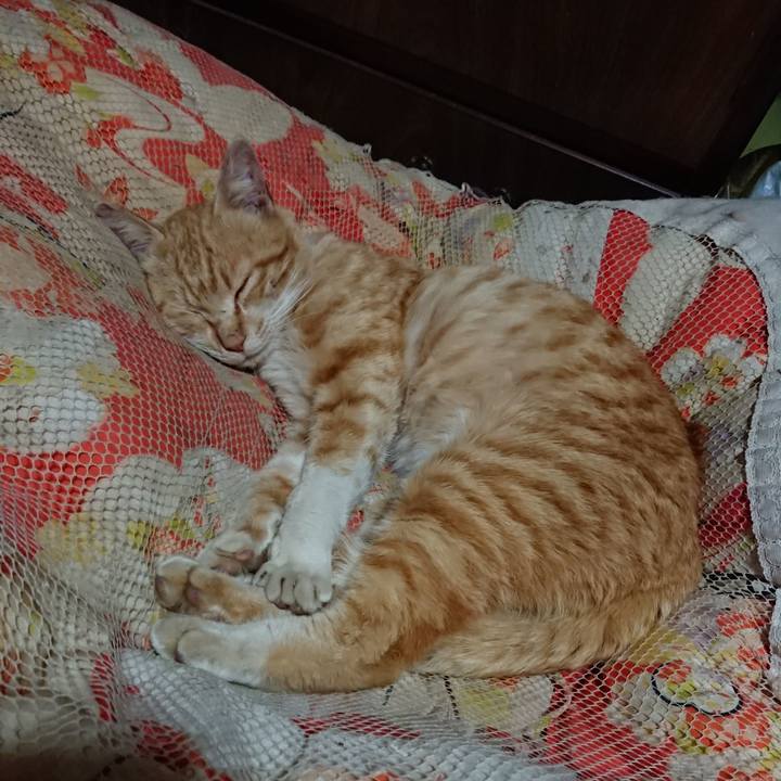 D7802e2e 2c1a 4deb 8bf5 345ca81084bb 1555593427984