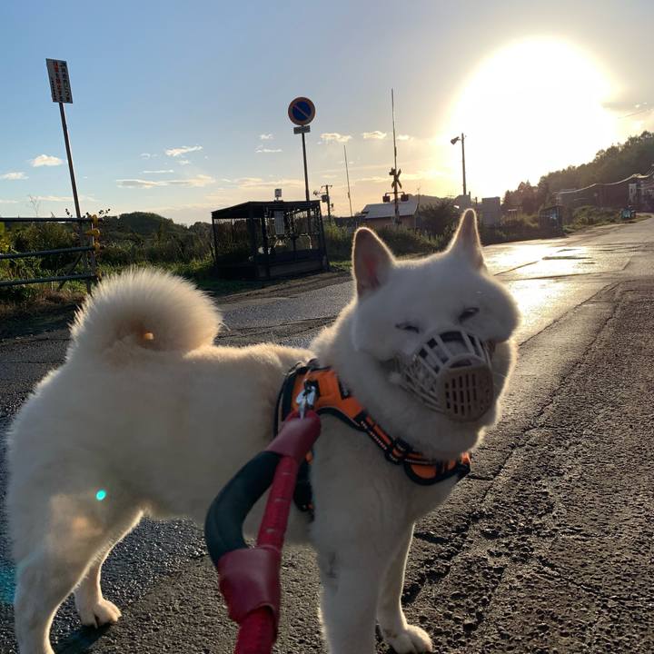 D78046be ce77 4478 9d77 88e9cc74b635 1665439750967