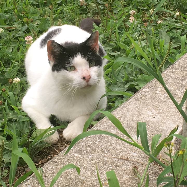 D780984e e9e1 4695 afdd a862ccdecea9 1531378275825