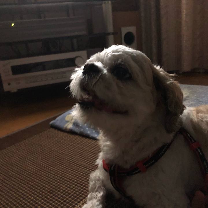 D780a8fe 517c 4e71 adb8 a9e12d63bda8 1594936112845