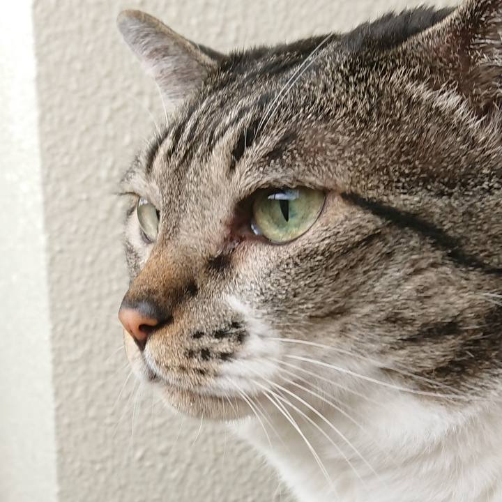 D78130bc 299f 46fd 864c fdbd89097e47 1534465411162