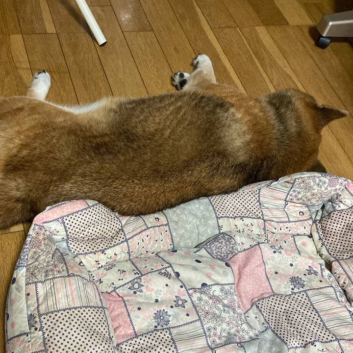 D7813384 b702 4c5f a4a2 ce8ce74879a1 1725154055834