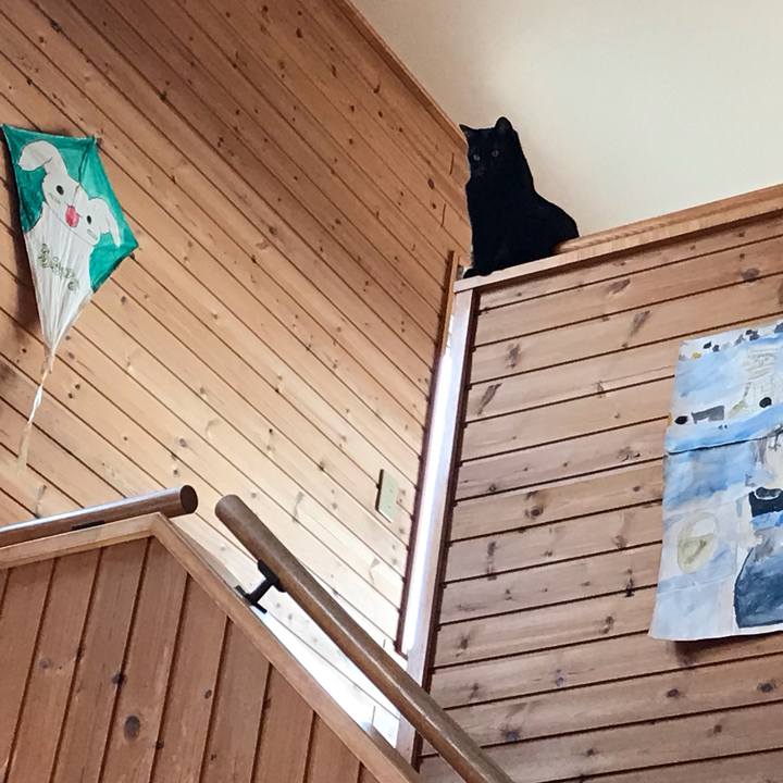 D7814c81 a3a8 443a 8f9a 32d93ab297e0 1606018515791