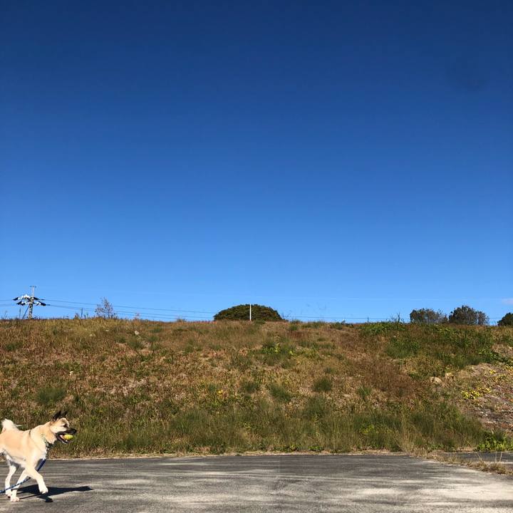 D781724e 7605 4576 a537 7356138a3de6 1607244369589