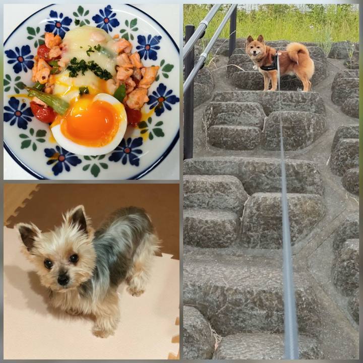 D781fa81 7fdb 438f a311 44285f59308f 1654951125120