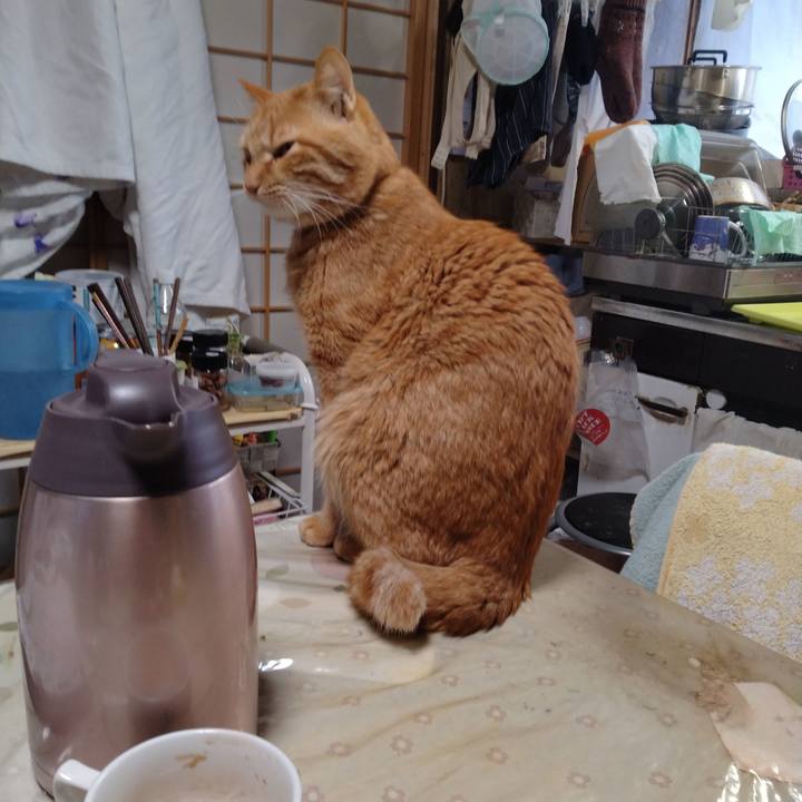 D7820cee 600b 4585 bfa7 6bbb99018a97 1705700505994