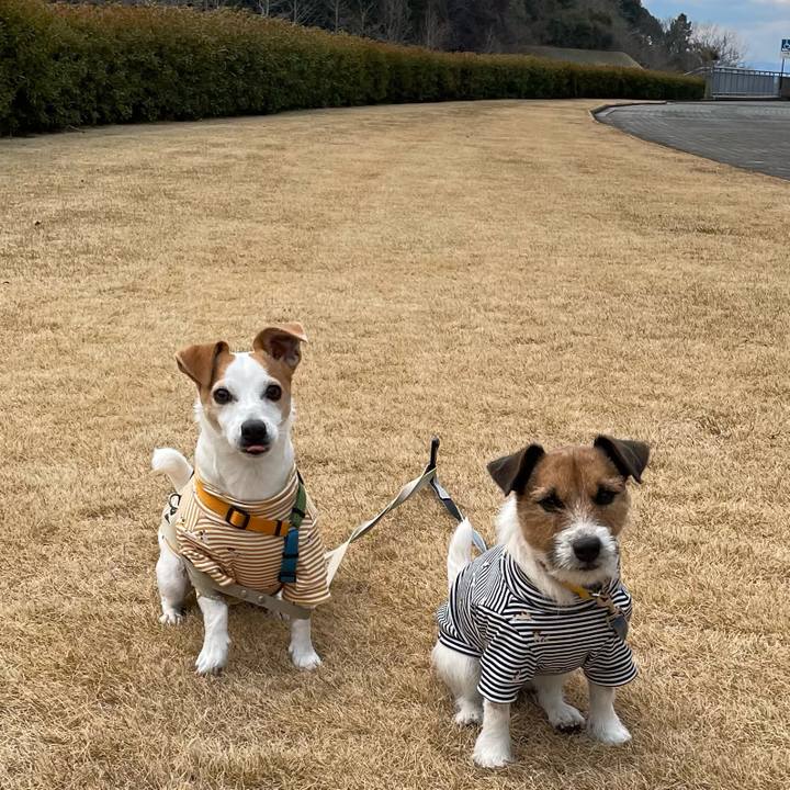 D7821dd0 3d9d 4696 a5f9 9f6ba2f027d9 1642424738477