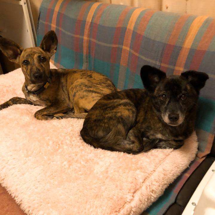 D78231f0 1ca7 49c2 900d 3aa7832202f2 1576564816312