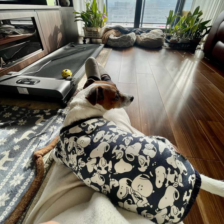 D78249ed 8b4e 4f30 99b9 0a19854e9601 1739932153909