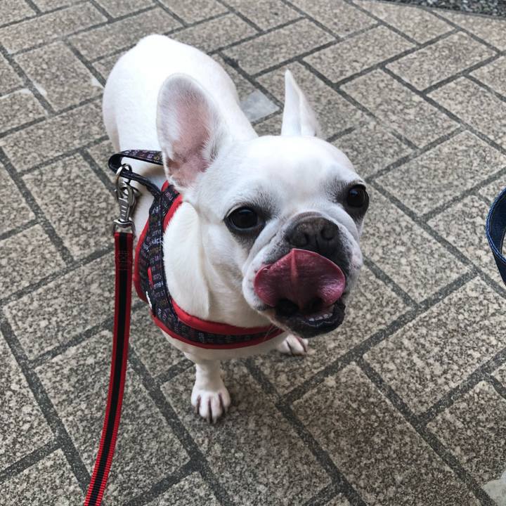 D782518d e509 49f8 a831 a99c5f7595c6 1540639298861