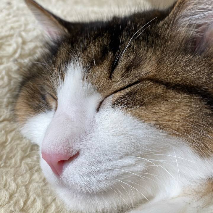 D782540d 715d 45c3 9cc4 ab29f7415d77 1699667417183