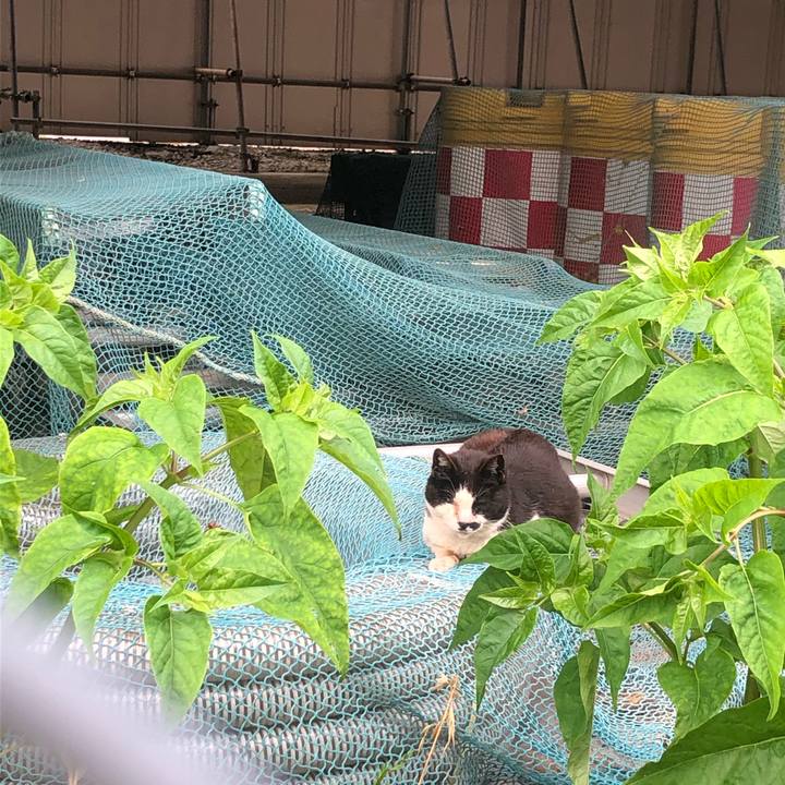 D782549d 507d 426d 9f05 06c909d2f9b3 1623309045220