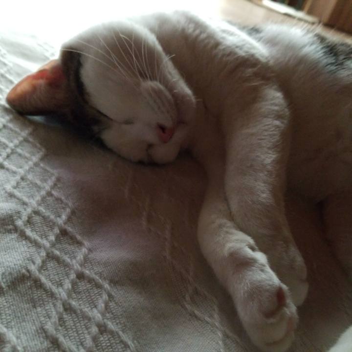 D782c4bc f6f6 476d 8cee 57eb914aa4b6 1569879887201