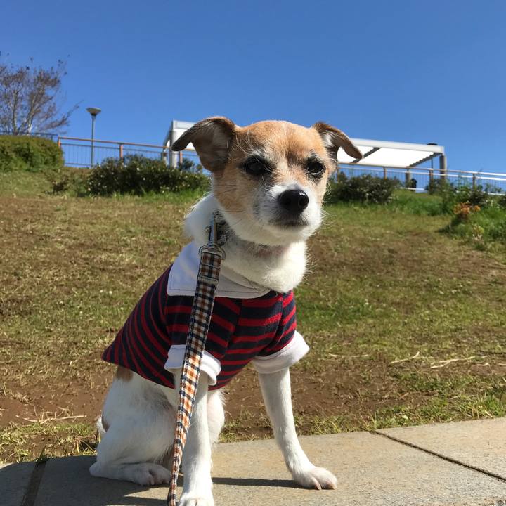 D7832a86 66ce 475c a701 63139ac1fb37 1587611703858