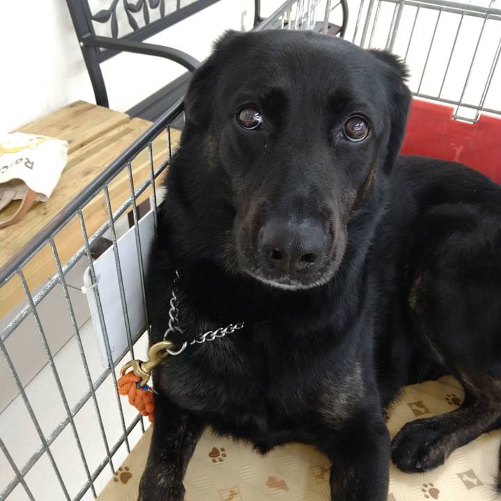 D7833643 e5e7 43c5 ae08 7571d9cc4947 1596510083405