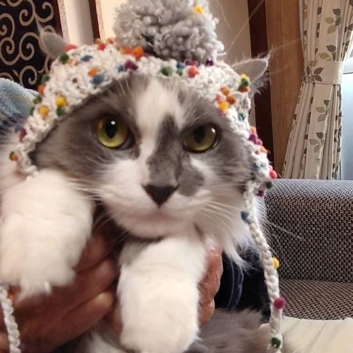 D78344f2 c6ca 4111 a9e5 84f585e18c2e 1671089434956