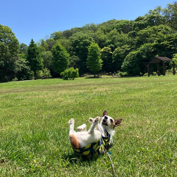 D7836f78 1849 43c2 849c 569f0a309528 1683159670495