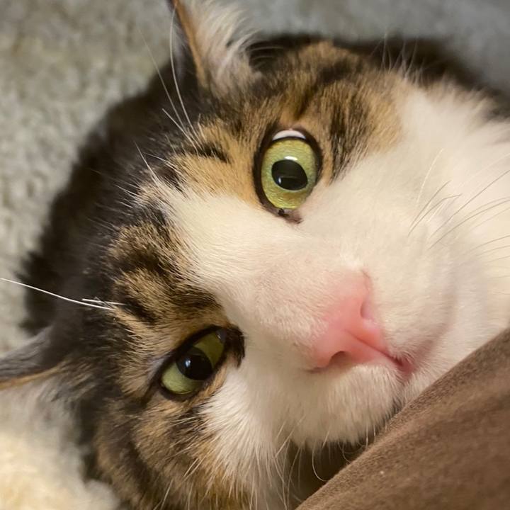 D783a163 d44e 4589 a830 dc66bc8070d5 1672443583978