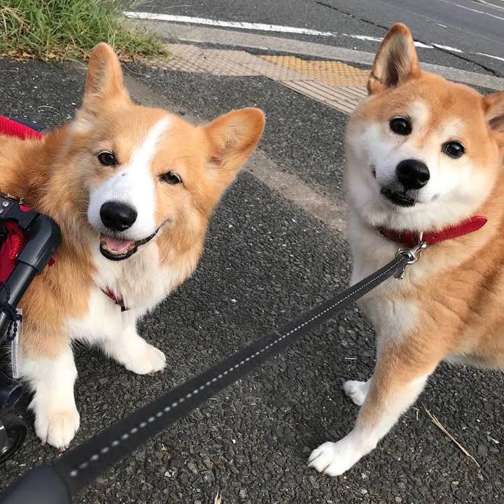 D783d330 151f 4898 86d4 4b1f0275b35c 1601687157804