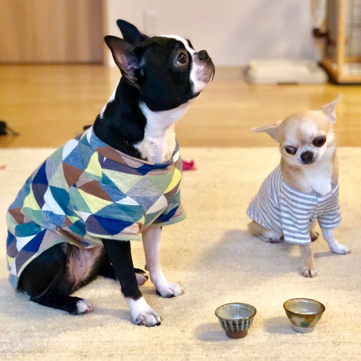 D783ddcc 67f5 4109 845e 1e54ff997bfd 1517479708310