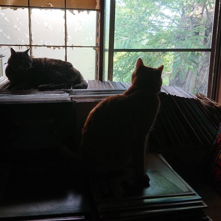 D7844972 b387 4fdf 9fdd 0db381a6cba6 1656803096745