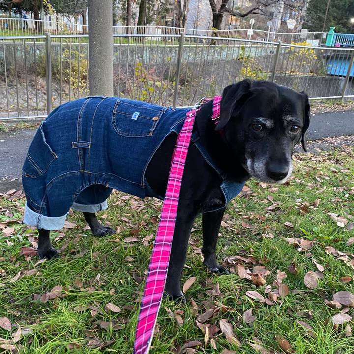 D78460c1 cb3f 4ed0 99de 77fe1af0d968 1638605453983