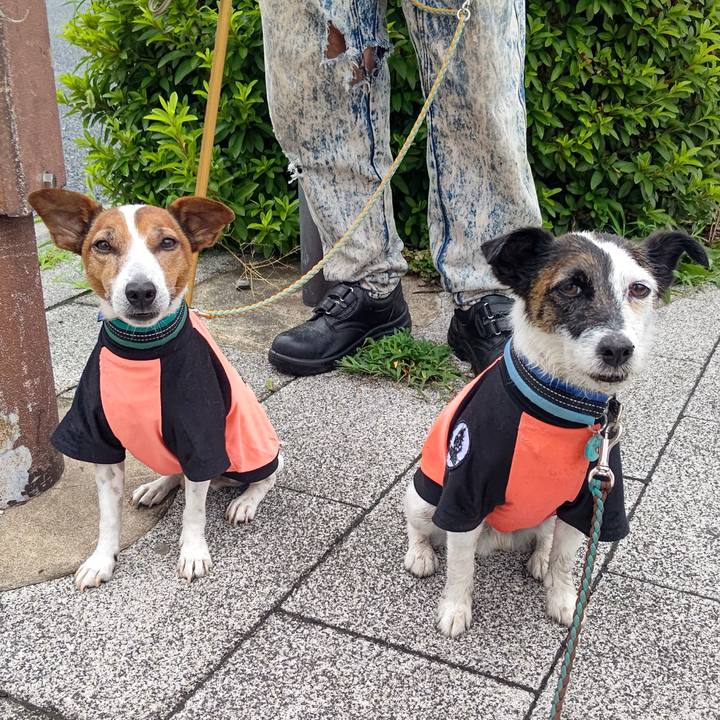 D7846abe 6d50 4ed4 bedb eb16f3fe983e 1719615194480