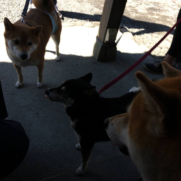 D7847a38 2da5 415f 8895 0b3bc1ef021b 1570248990668