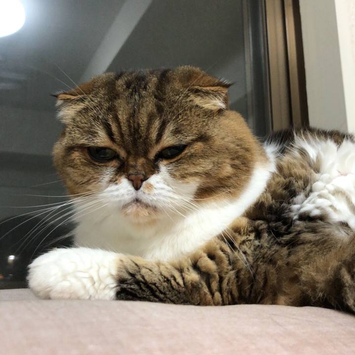 D7847fae 3551 4f1b abbc ba6031d2c038 1542297149167