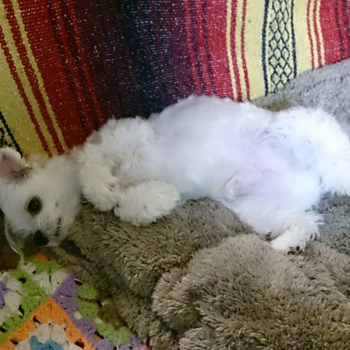 D784875c 56b4 4225 9a6e fc62d12eec59 1516359687156