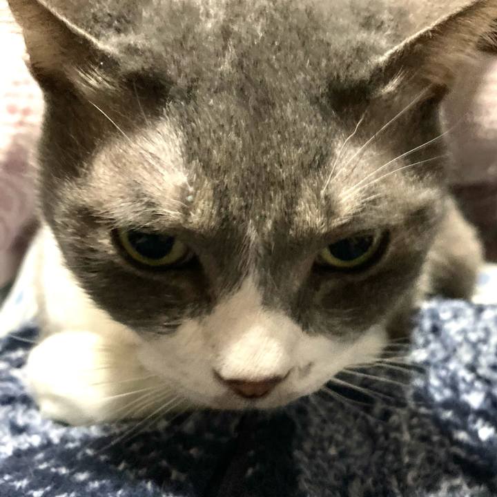 D784934d 28b5 4864 b0cb 4939342cb923 1676638145269